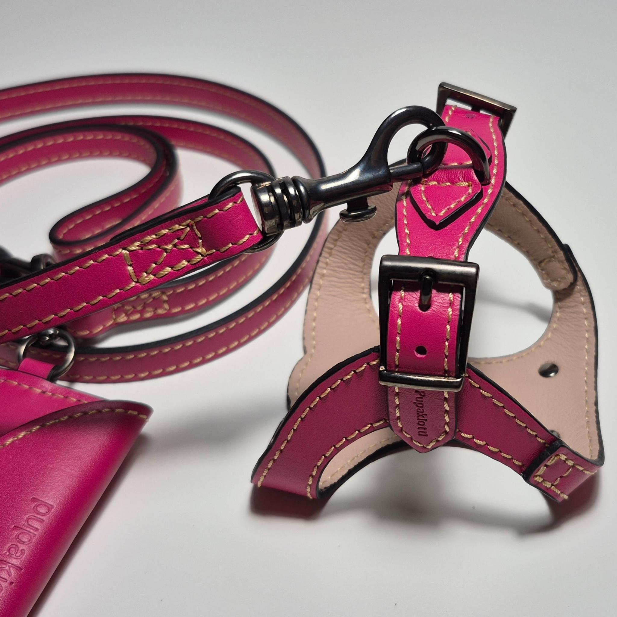 Set Pettorina e Guinzaglio in Pelle con Porta Sacchetti